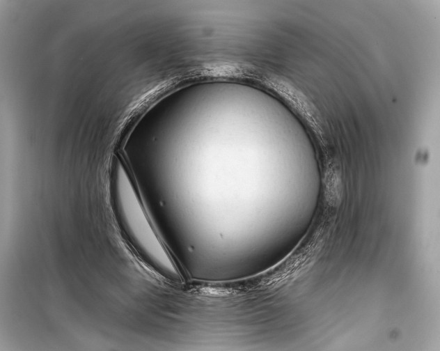 X0000099310442200805161417