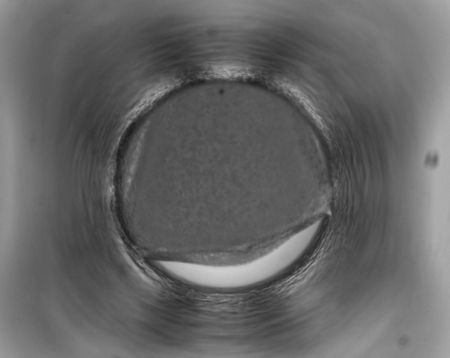 X0000099310443200805161417