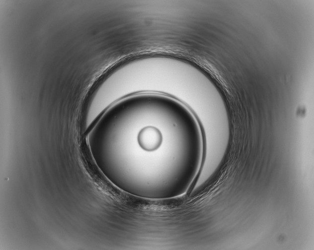 X0000099310444200805161417