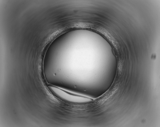 X0000099310445200805161417