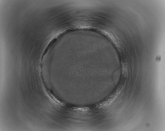 X0000099310447200805161417