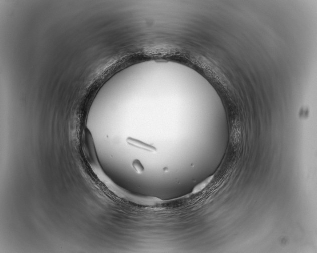 X0000099310448200805161417