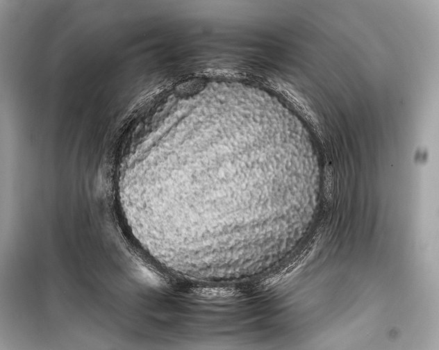 X0000099310449200805161417