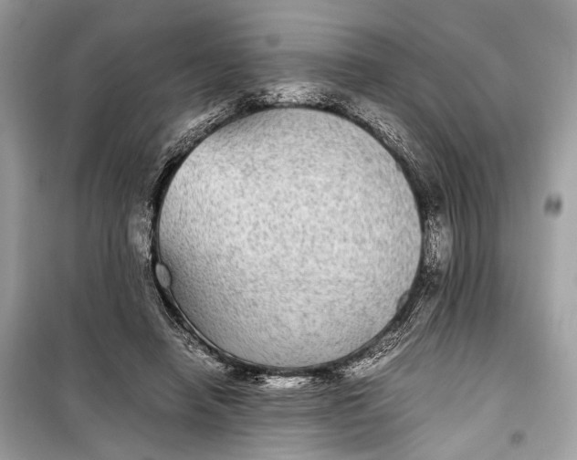 X0000099310450200805161417