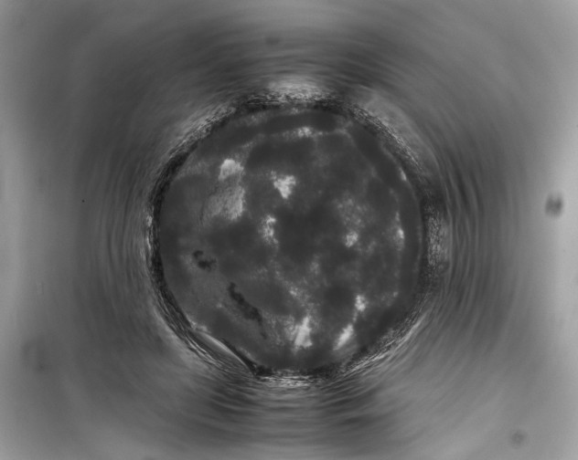 X0000099310451200805161417