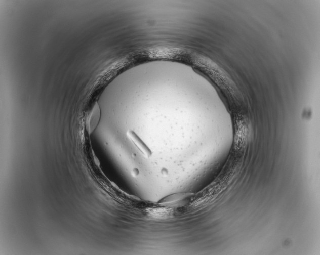 X0000099310452200805161417