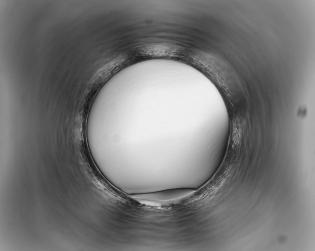 X0000099310453200805161417