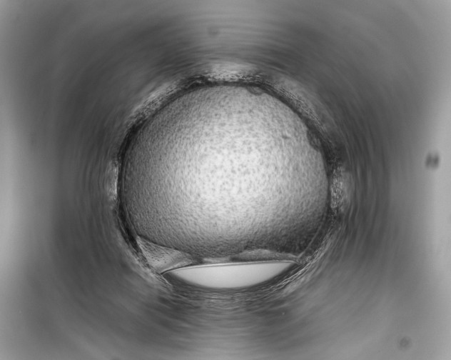 X0000099310454200805161417