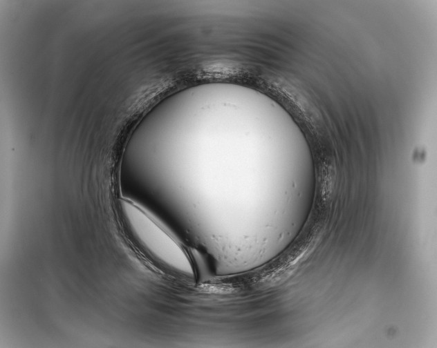 X0000099310455200805161417