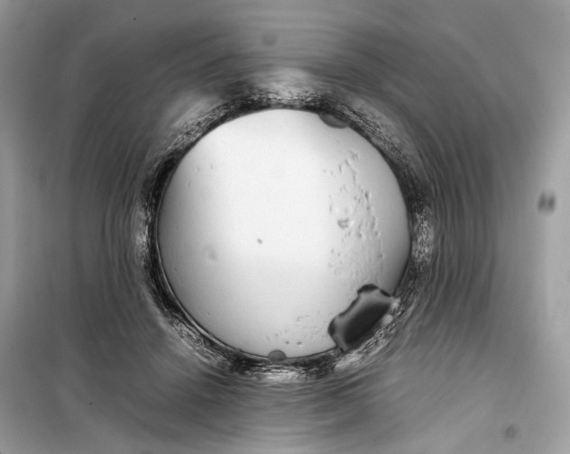 X0000099310456200805161417