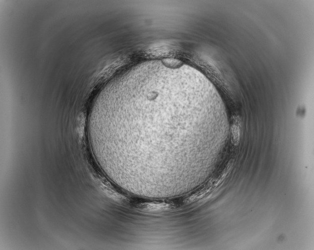 X0000099310458200805161417