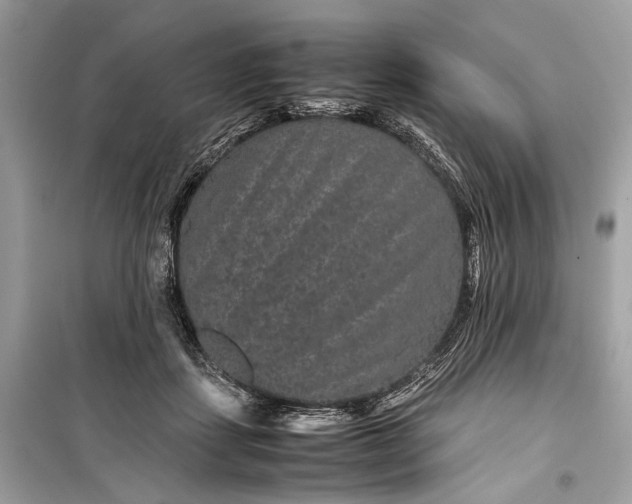 X0000099310459200805161417