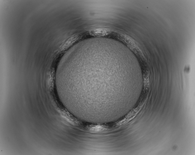 X0000099310460200805161417