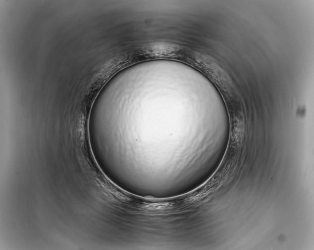 X0000099310461200805161417