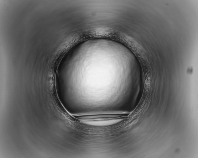 X0000099310462200805161417