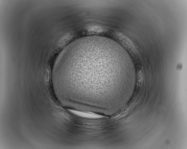 X0000099310463200805161417