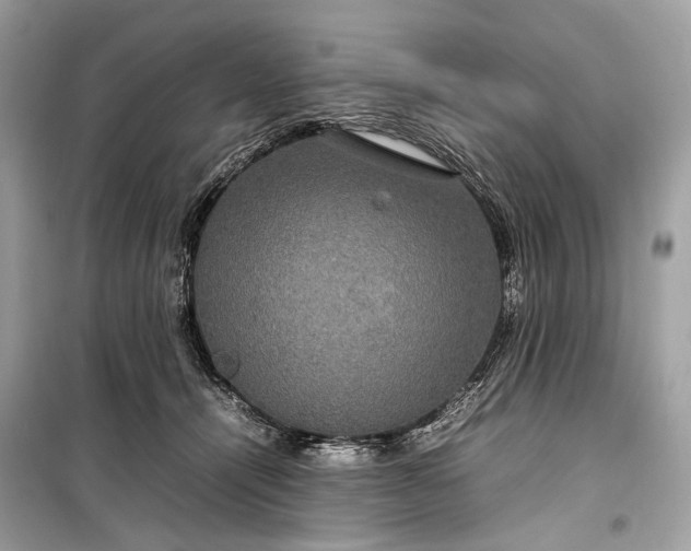 X0000099310464200805161417