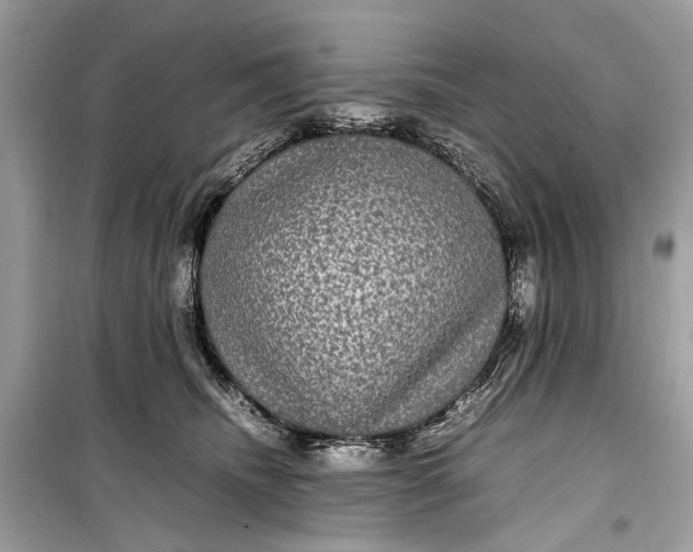 X0000099310468200805161417