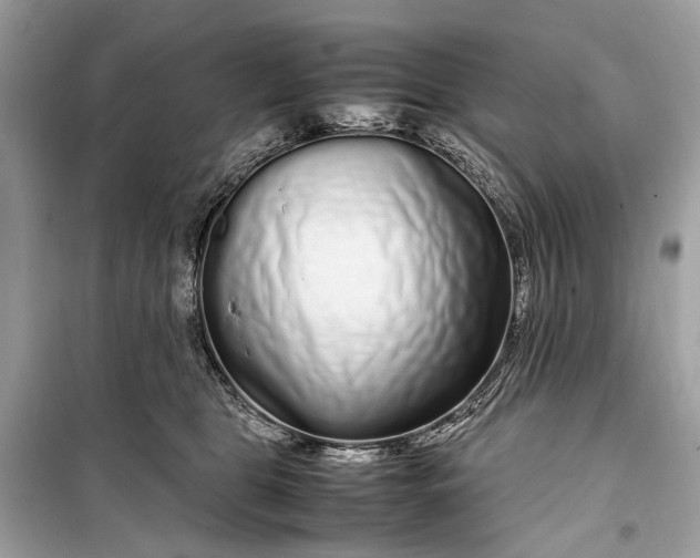 X0000099310469200805161417