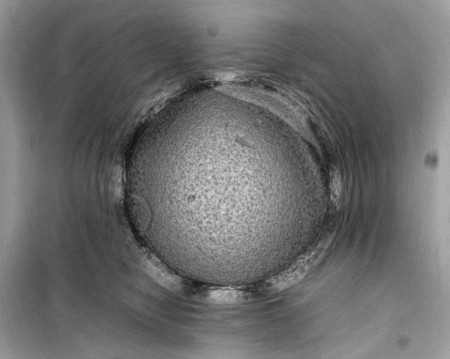 X0000099310470200805161417