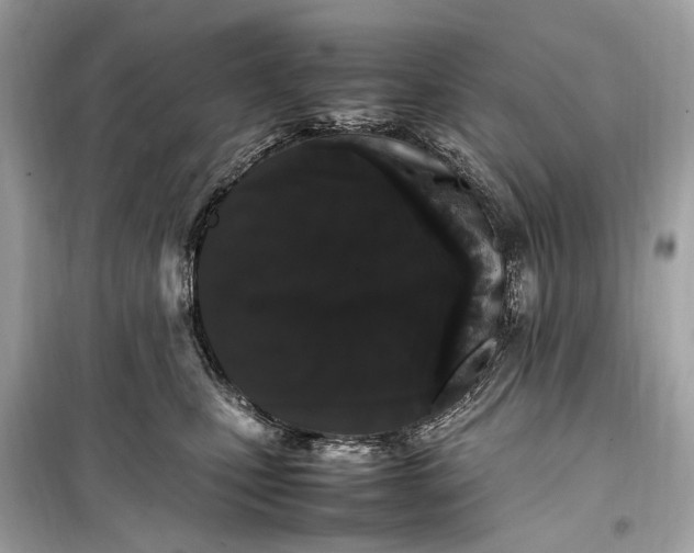 X0000099310471200805161417