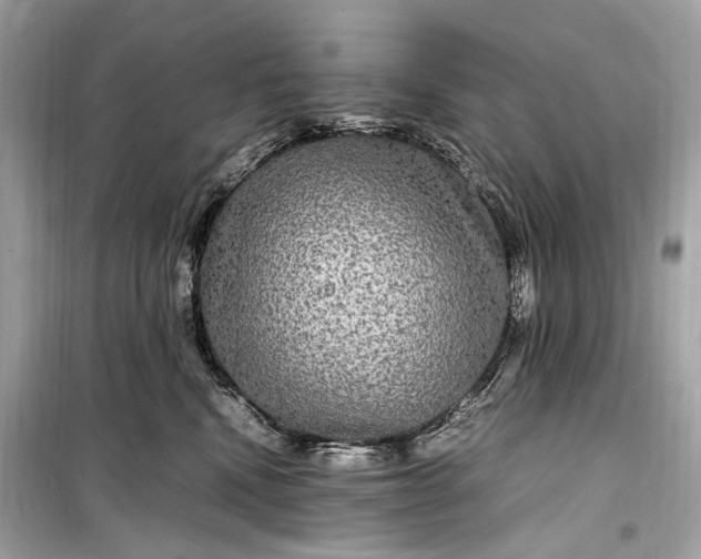 X0000099310472200805161417