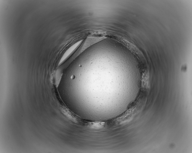 X0000099310474200805161417