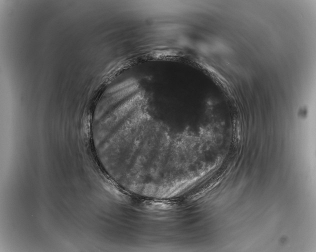 X0000099310475200805161417