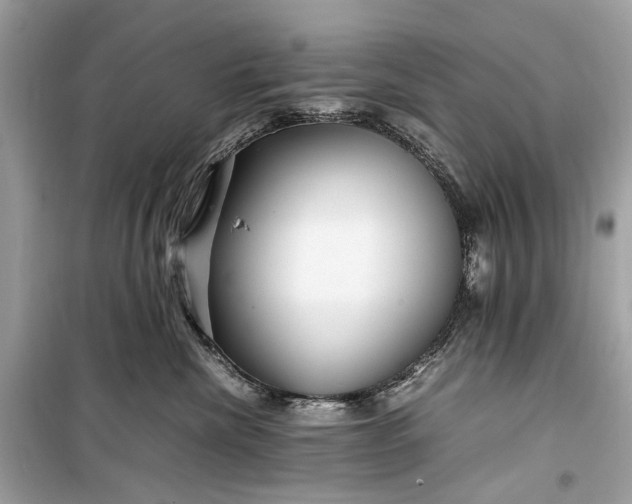 X0000099310476200805161417