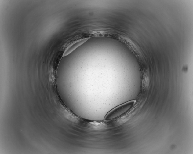 X0000099310477200805161417