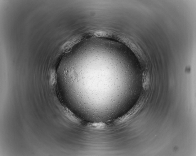 X0000099310478200805161417