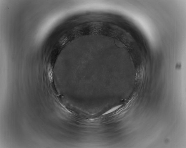 X0000099310479200805161417