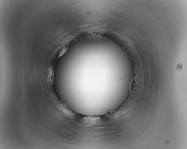 X0000099310480200805161417