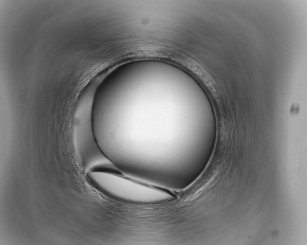 X0000099310481200805161416