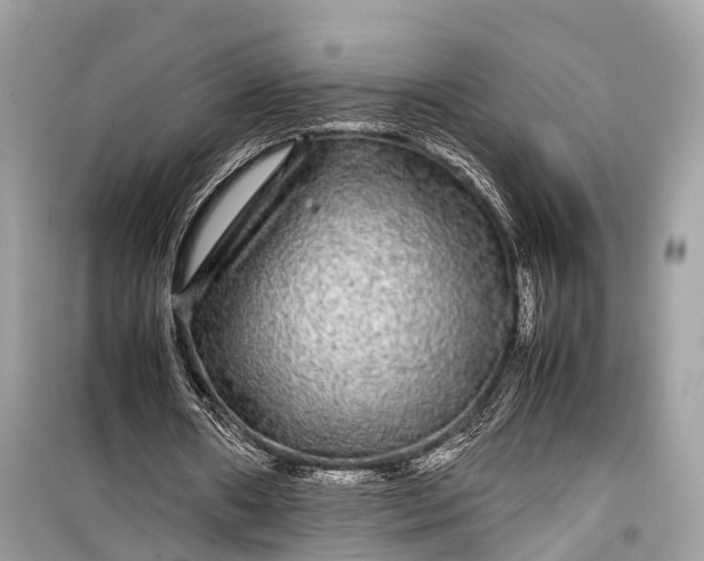 X0000099310482200805161416