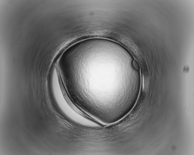 X0000099310483200805161416