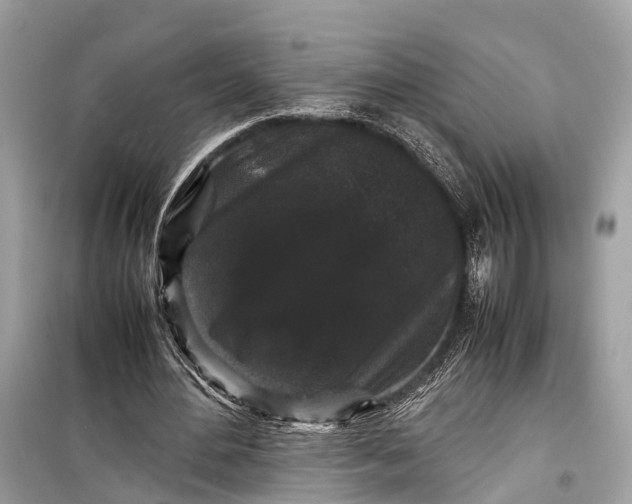 X0000099310484200805161416