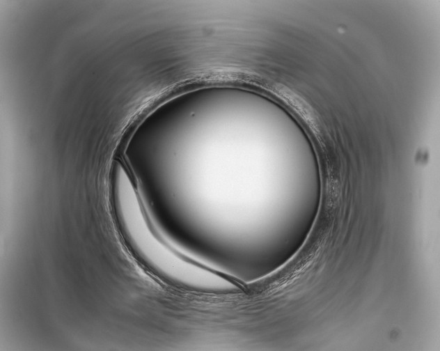 X0000099310485200805161416