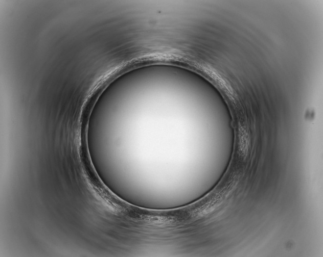 X0000099310486200805161416