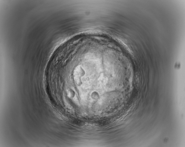 X0000099310487200805161416