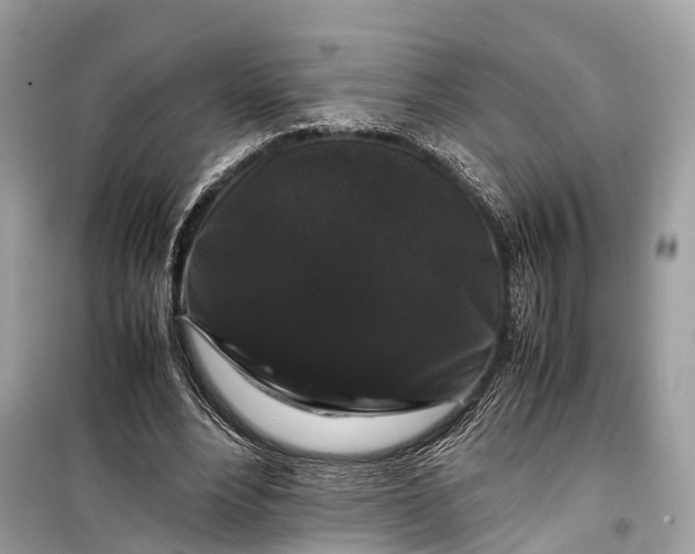 X0000099310488200805161416