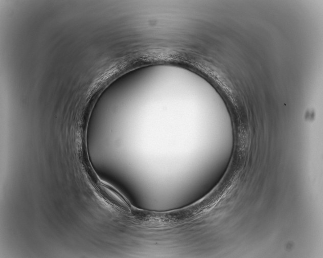 X0000099310489200805161416