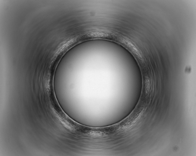 X0000099310490200805161416