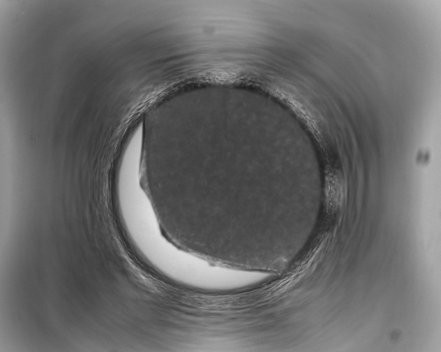 X0000099310493200805161416