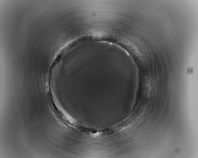 X0000099310496200805161416