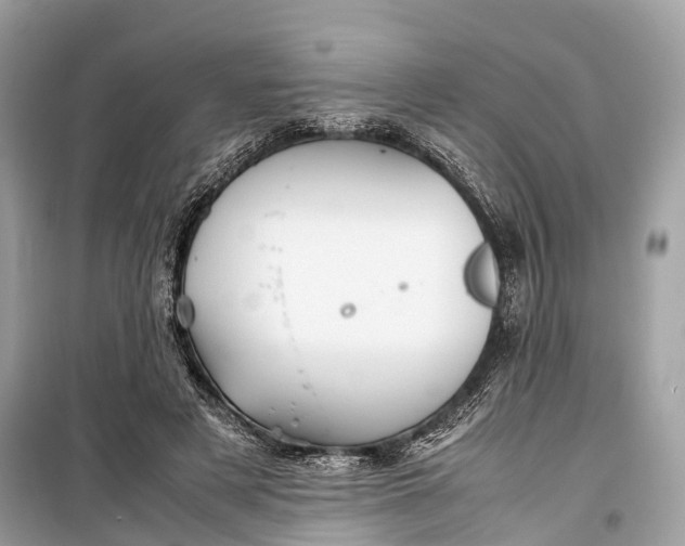 X0000099310497200805161416