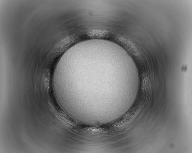 X0000099310498200805161416