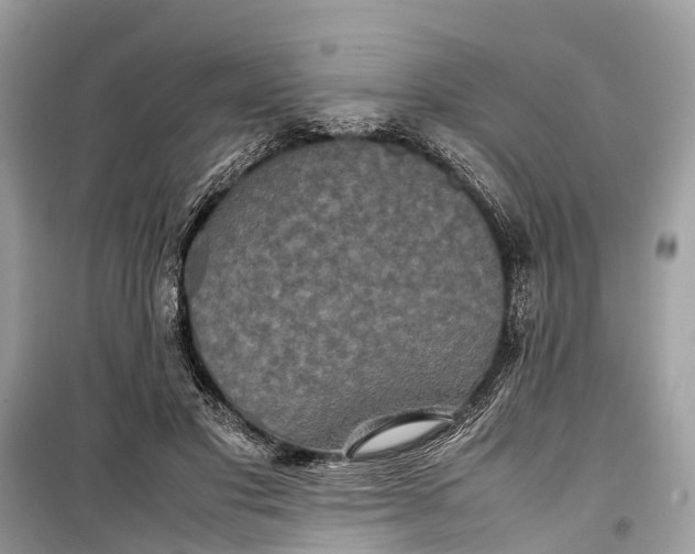 X0000099310501200805161416