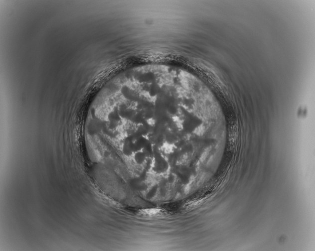 X0000099310503200805161416