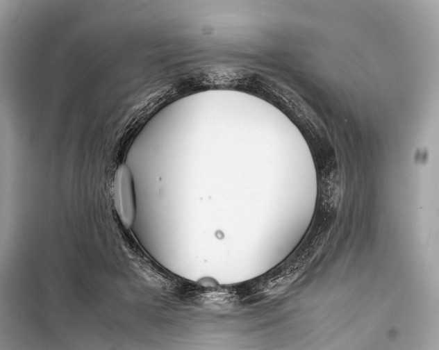 X0000099310505200805161416